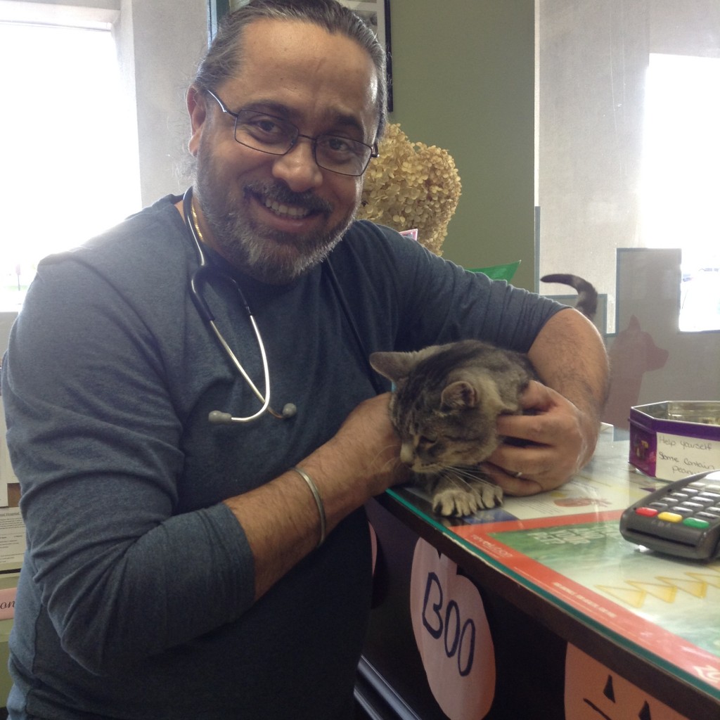 Dr. Sartaj Wazir – DVM | Veterinarians Brampton | Peel Animal Hospital Dr. Sartaj Wazir – DVM | Veterinarians Brampton | Peel Animal Hospital